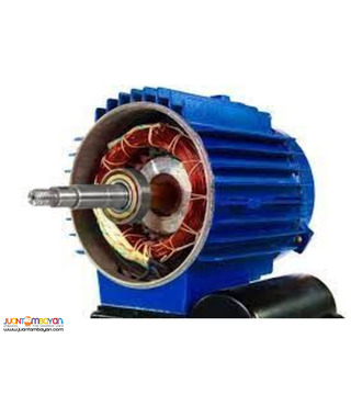 Precision Rewinding Services for Industrial Induction Motors