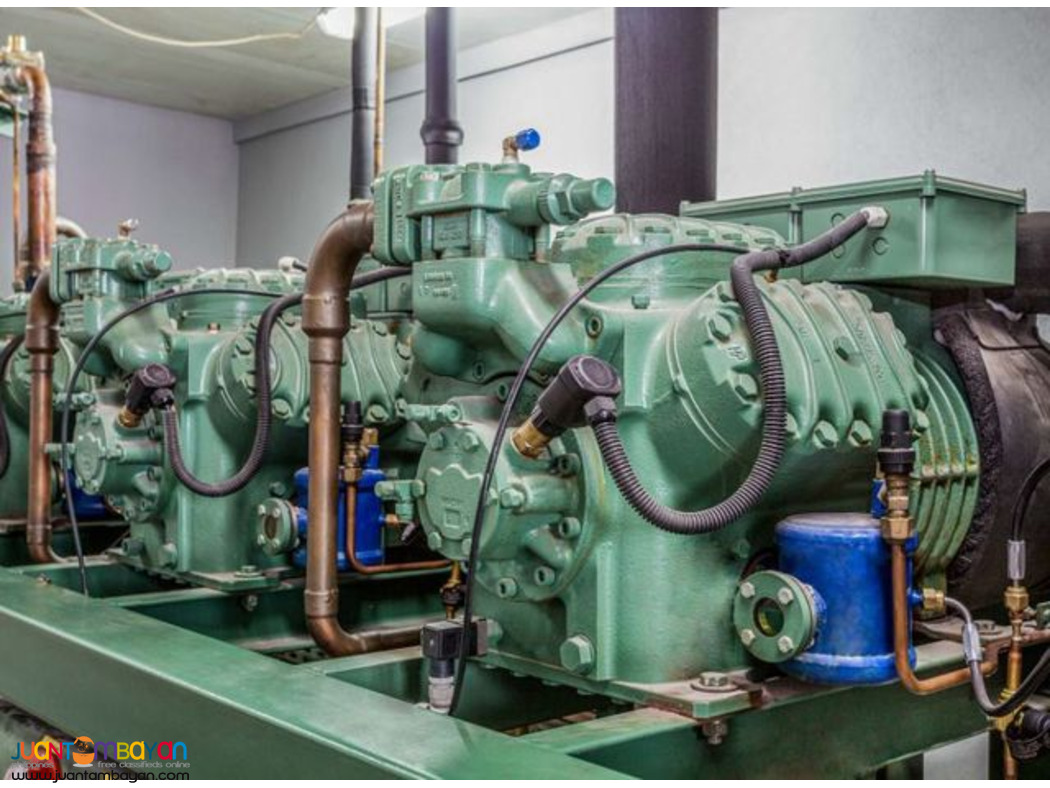 Compressor for Cold Storage Refrigeration