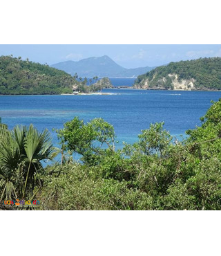 over looking seaview lot for sale