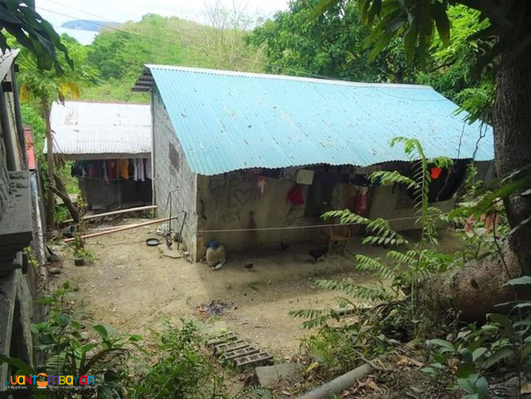 over looking seaview lot for sale