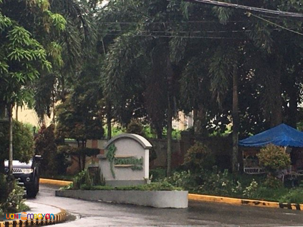 Lot for sale in ANTIPOLO GREENLAND - 382sqm