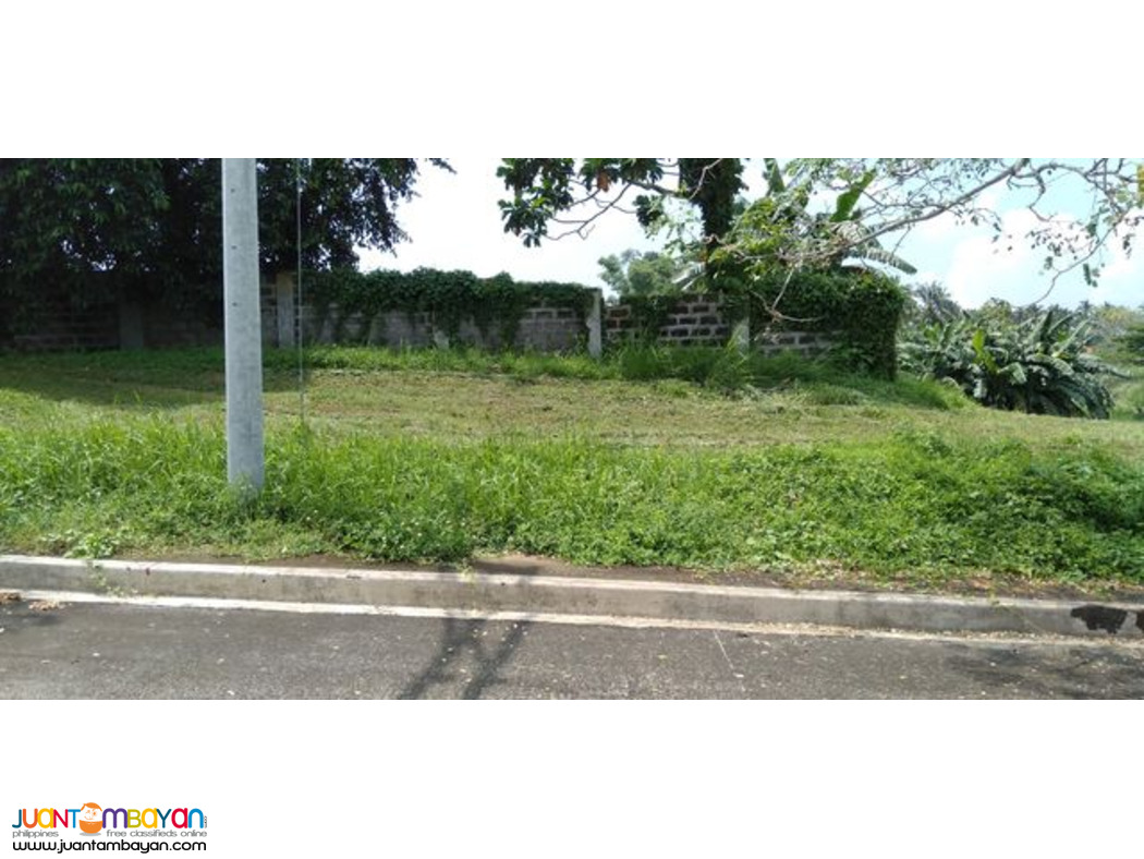 226sqm Residential lot in summit point lipa batangas