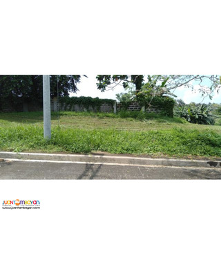 226sqm Residential lot in summit point lipa batangas