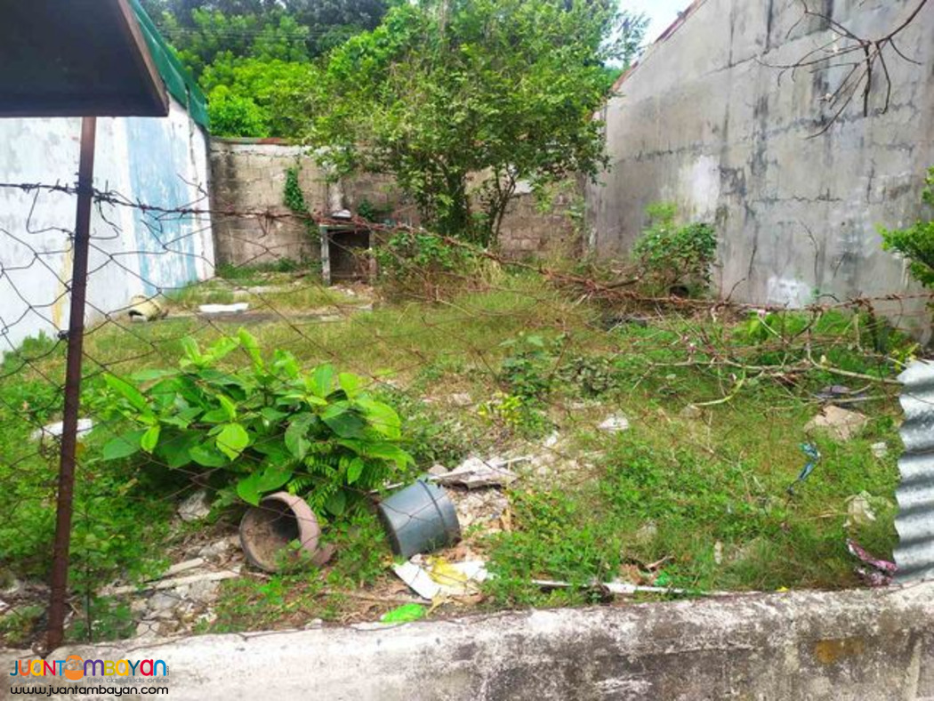 Vacant Lot for Lease in Camella Springville 1, Molino Bacoor, Cavite
