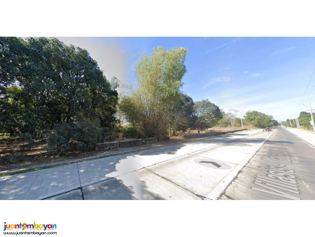 For Sale: Mango Farm Along Villasis- Malasiqui National Highway