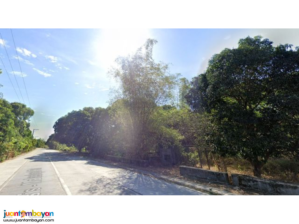 For Sale: Mango Farm Along Villasis- Malasiqui National Highway