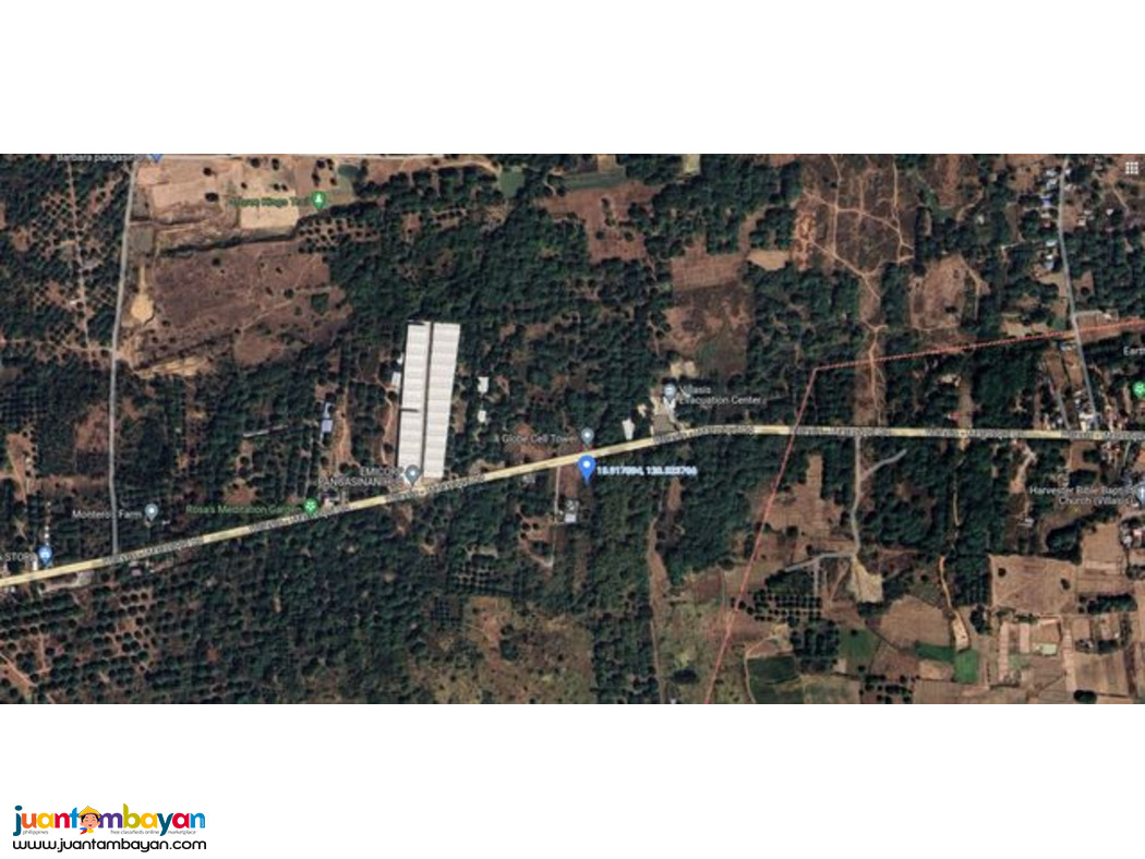 For Sale: Mango Farm Along Villasis- Malasiqui National Highway