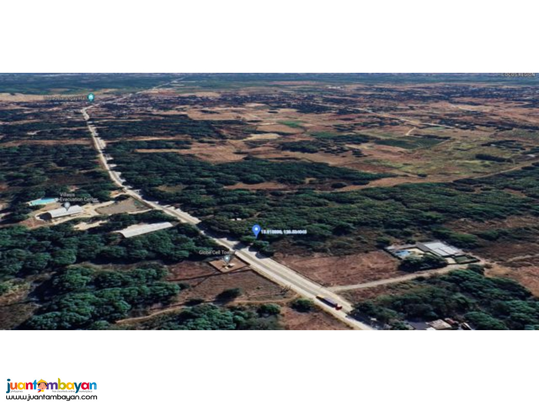 For Sale: Mango Farm Along Villasis- Malasiqui National Highway