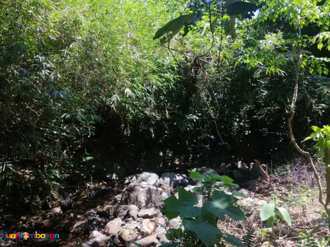 LOT PROPERTY SUITABLE FOR FARM/RESORT DEVELOPMENT