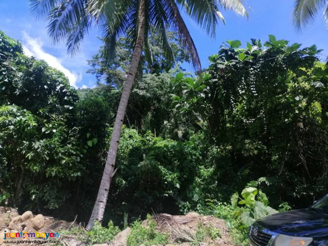LOT PROPERTY SUITABLE FOR FARM/RESORT DEVELOPMENT