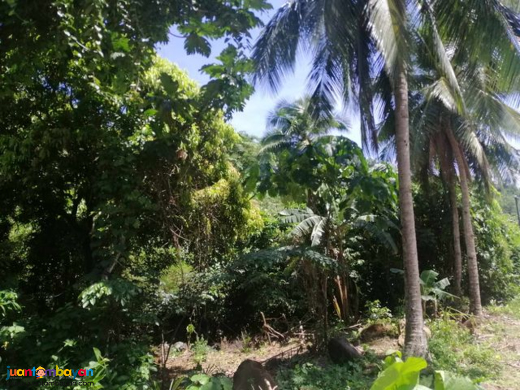 LOT PROPERTY SUITABLE FOR FARM/RESORT DEVELOPMENT