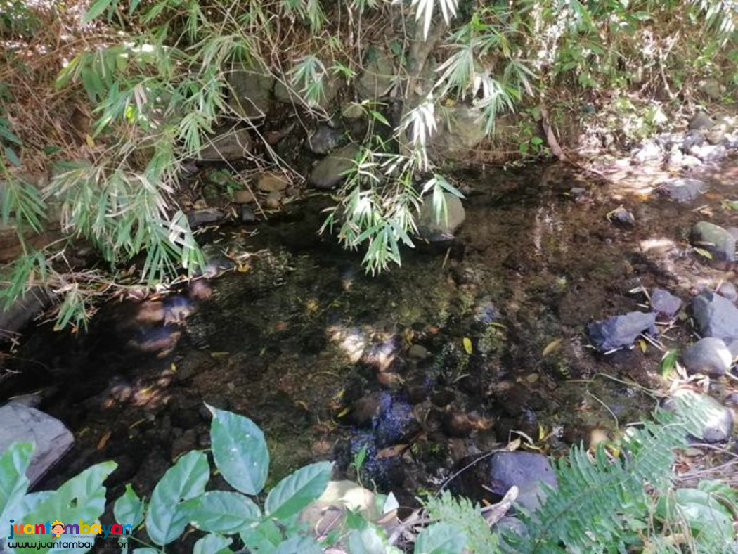 LOT PROPERTY SUITABLE FOR FARM/RESORT DEVELOPMENT