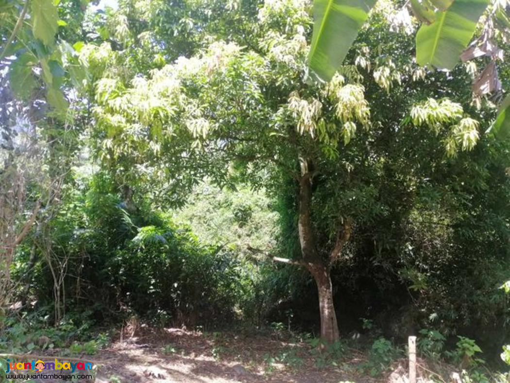 LOT PROPERTY SUITABLE FOR FARM/RESORT DEVELOPMENT