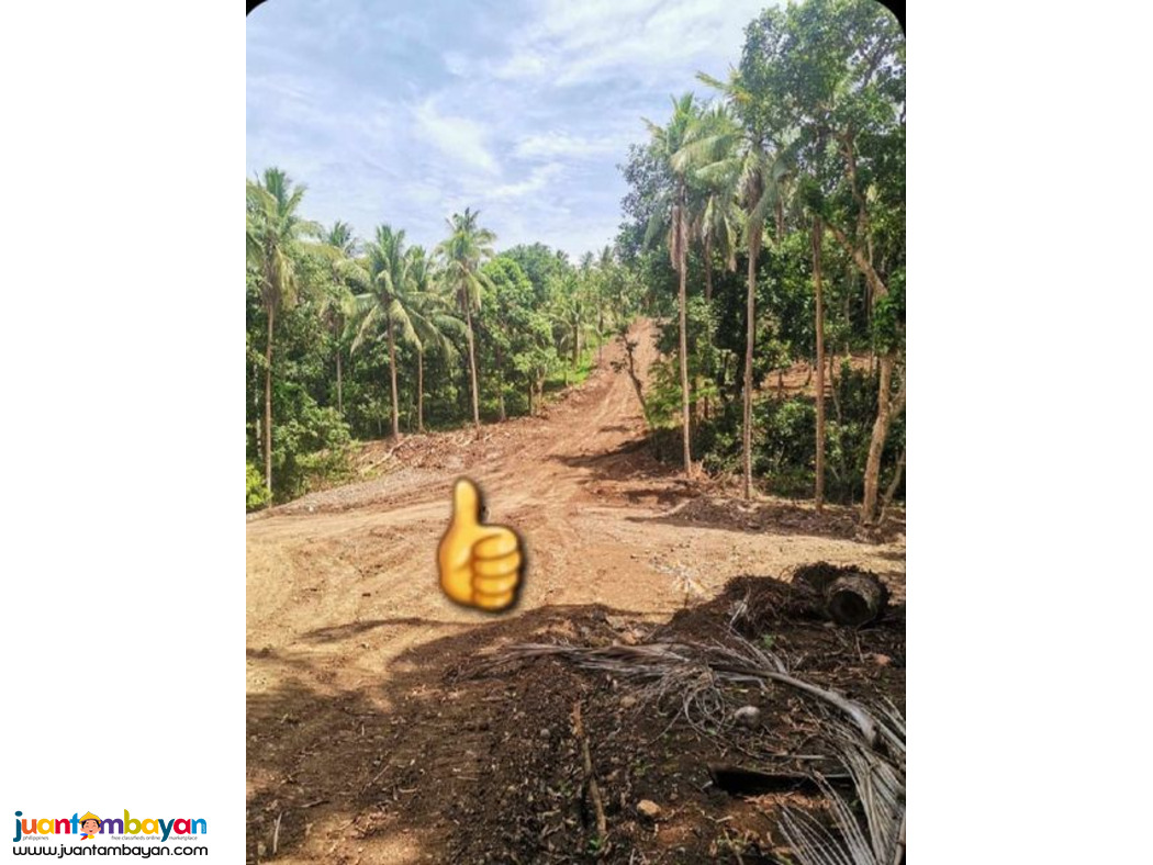 Lot For Sale in Woodridge Estates Mabitac Laguna