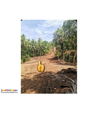 Lot For Sale in Woodridge Estates Mabitac Laguna