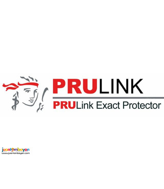 Invest and be Insured 2-in-1 Investment Plan