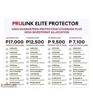 Investment 5-year plan with Life Insurance