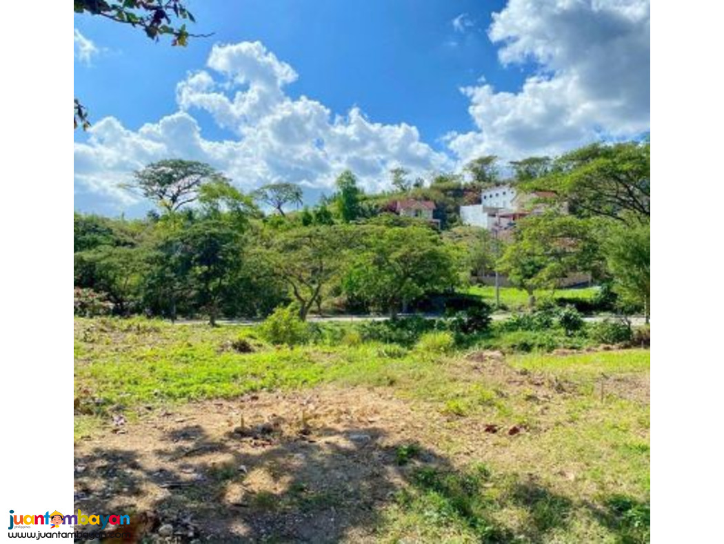 95 SQM OVERLLOKING LOT AZIENDA CAMELLA TALISAY CEBU