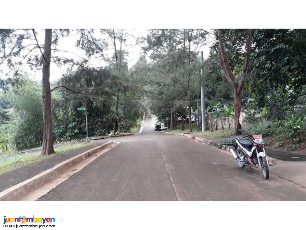 Lot for sale in kingsville heights brgy inarawan antipolo rizal