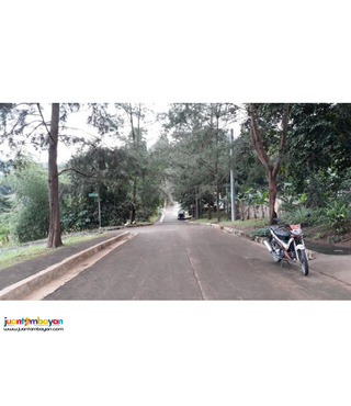 Lot for sale in kingsville heights brgy inarawan antipolo rizal