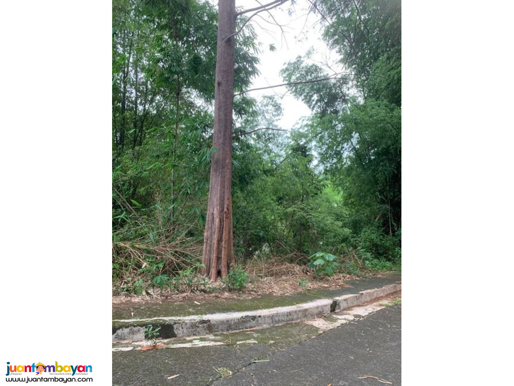 Lot for sale in kingsville heights brgy inarawan antipolo rizal