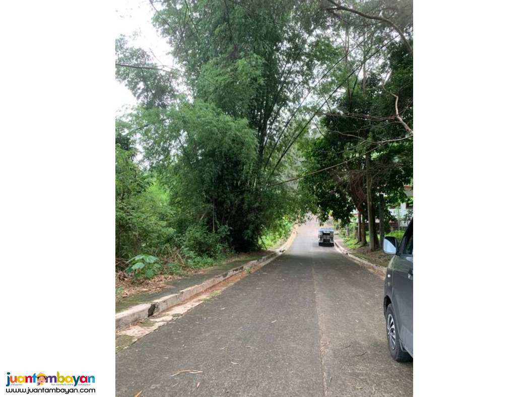 Lot for sale in kingsville heights brgy inarawan antipolo rizal