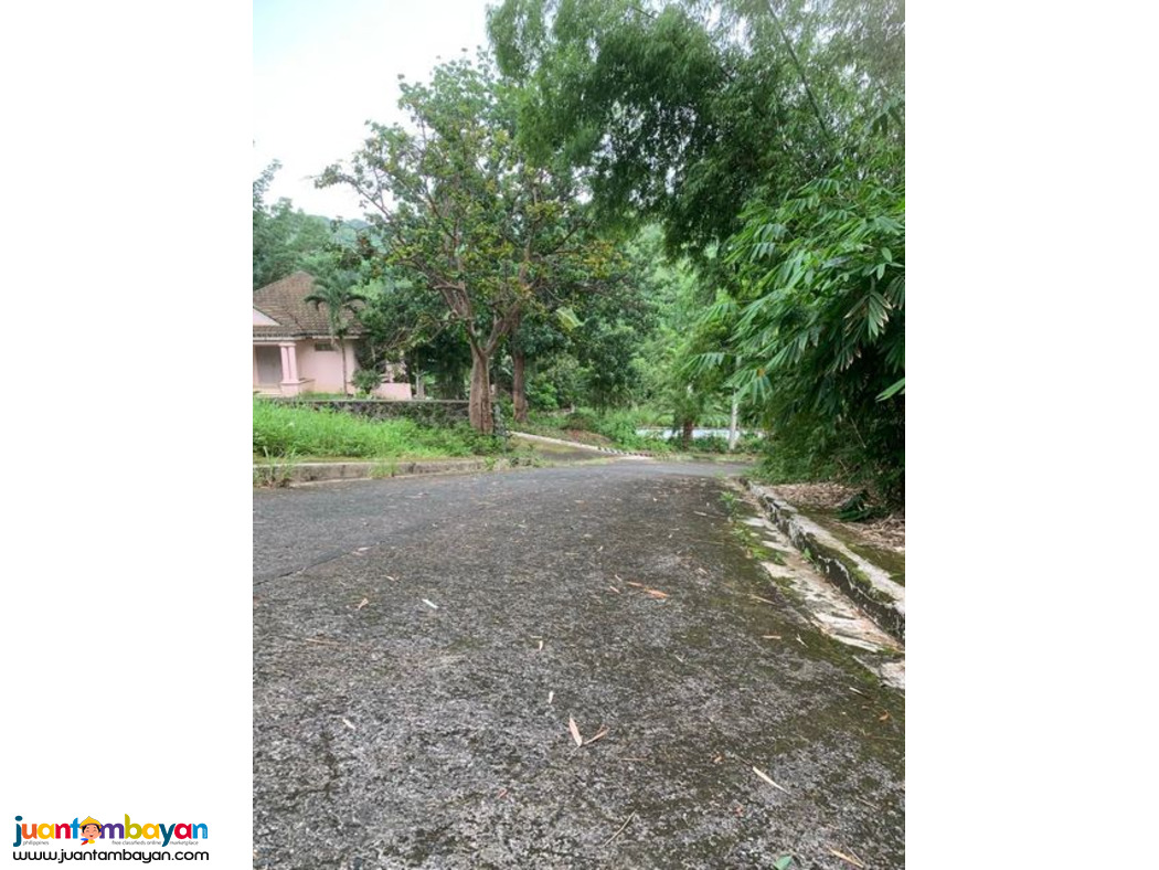 Lot for sale in kingsville heights brgy inarawan antipolo rizal