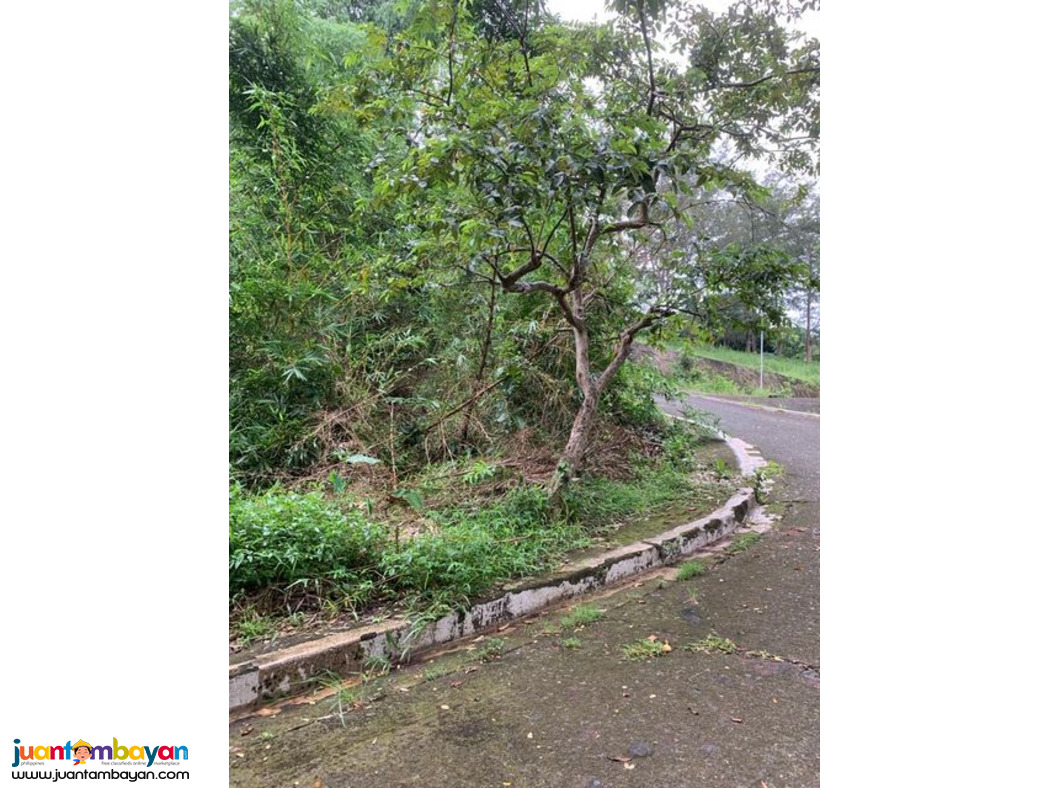 Lot for sale in kingsville heights brgy inarawan antipolo rizal