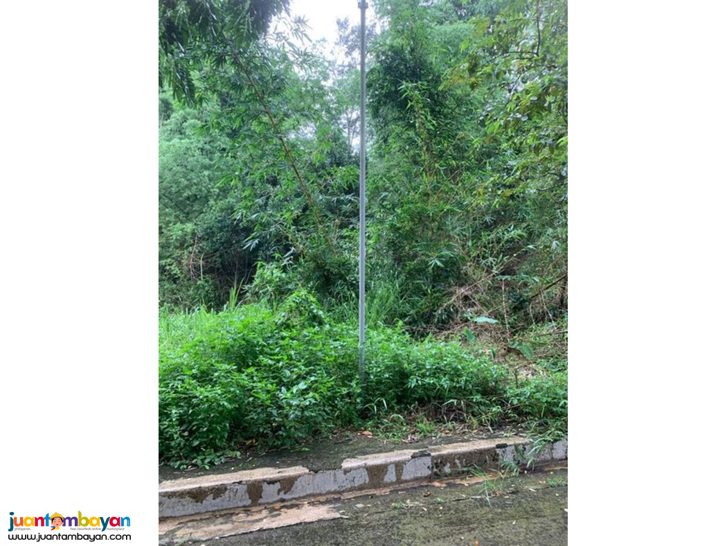Lot for sale in kingsville heights brgy inarawan antipolo rizal