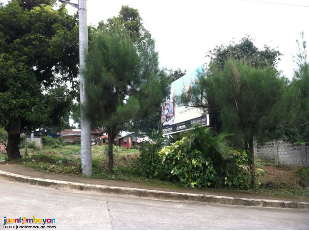 Lot for sale in kingsville heights brgy inarawan antipolo rizal