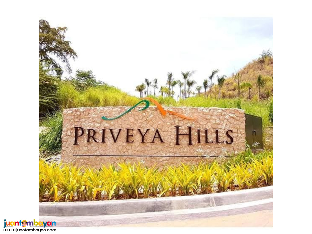 PRIVEYA HILLS TALAMBAN CEBU CITY 400 SQM LOT