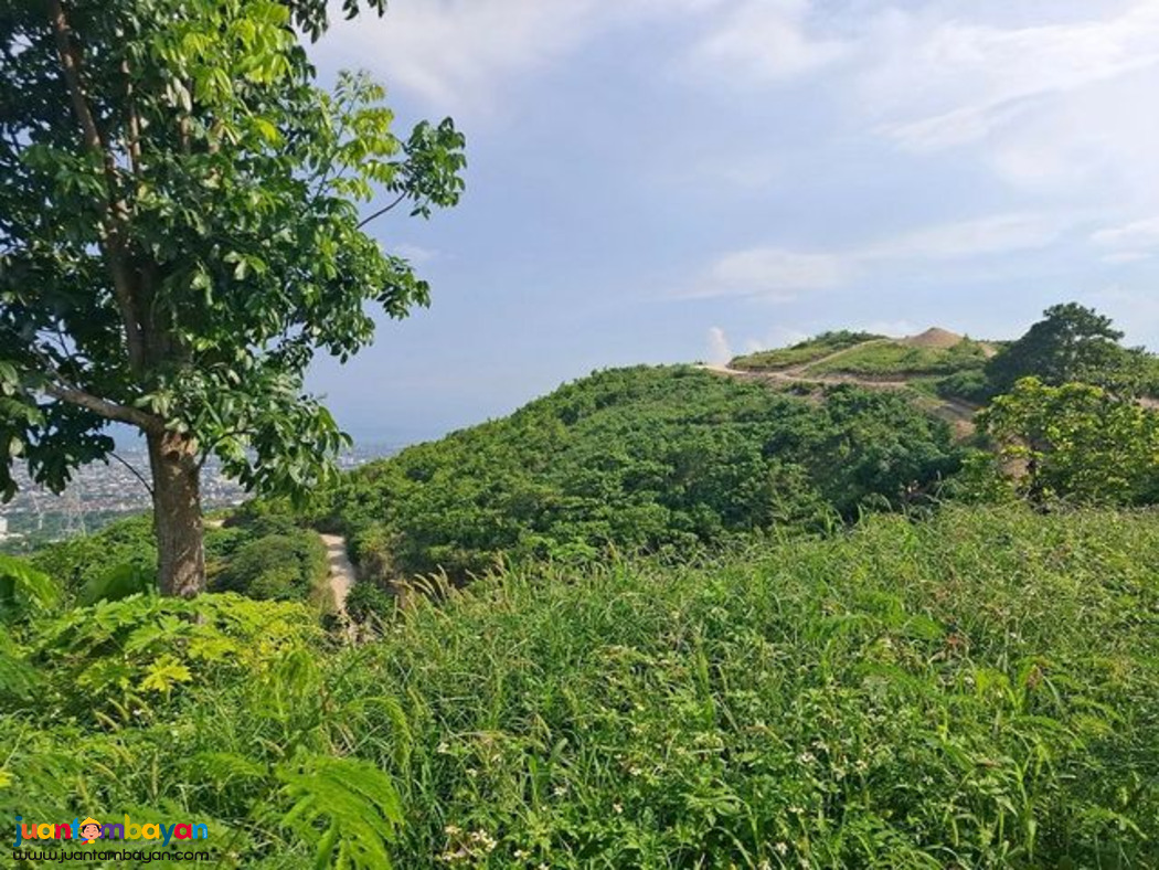 888 SQM LOT AT MONTERRZAS DE CEBU MONTELAGO
