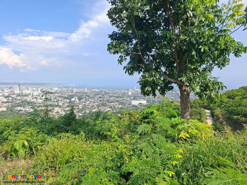 PRIME OVERLOOKING LOT GUADALUPE MONTERRZAS DE CEBU