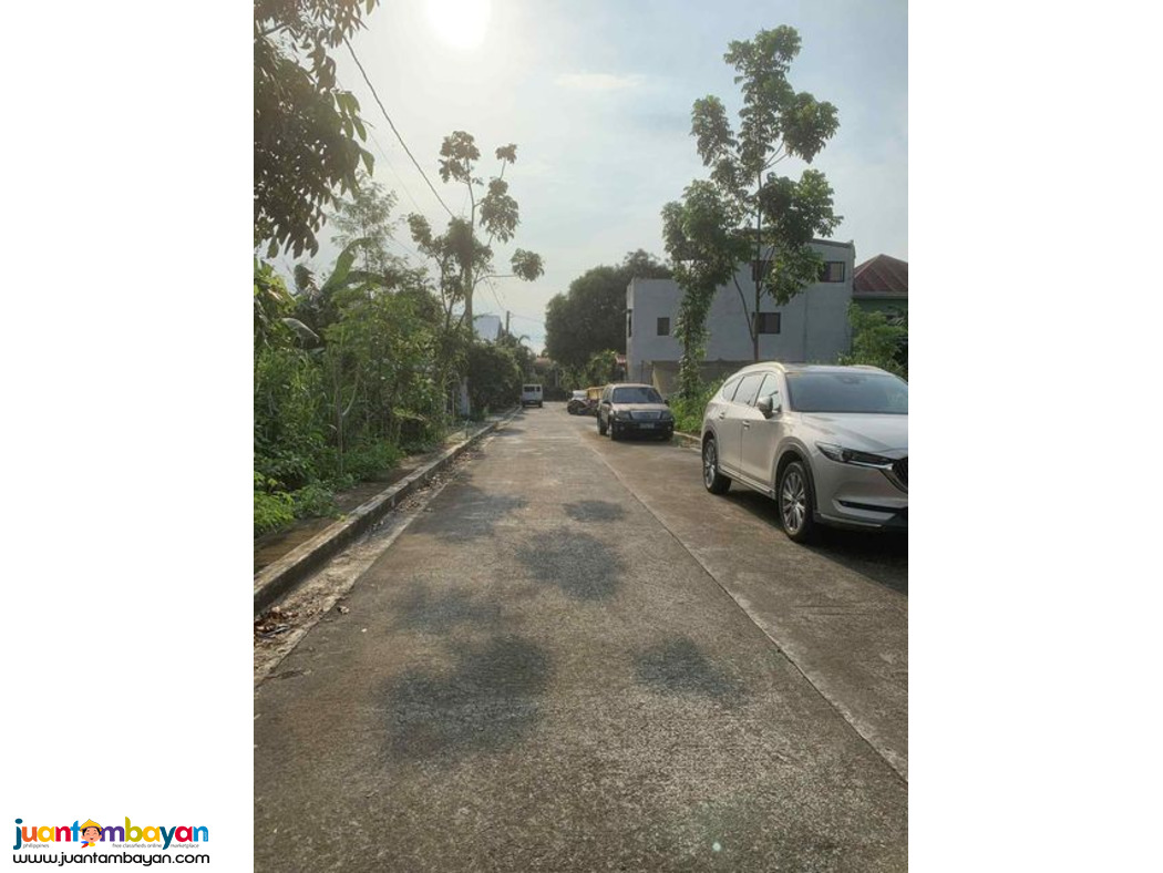 Vacant Lot For Sale in cainta greenland executive village 258sqm