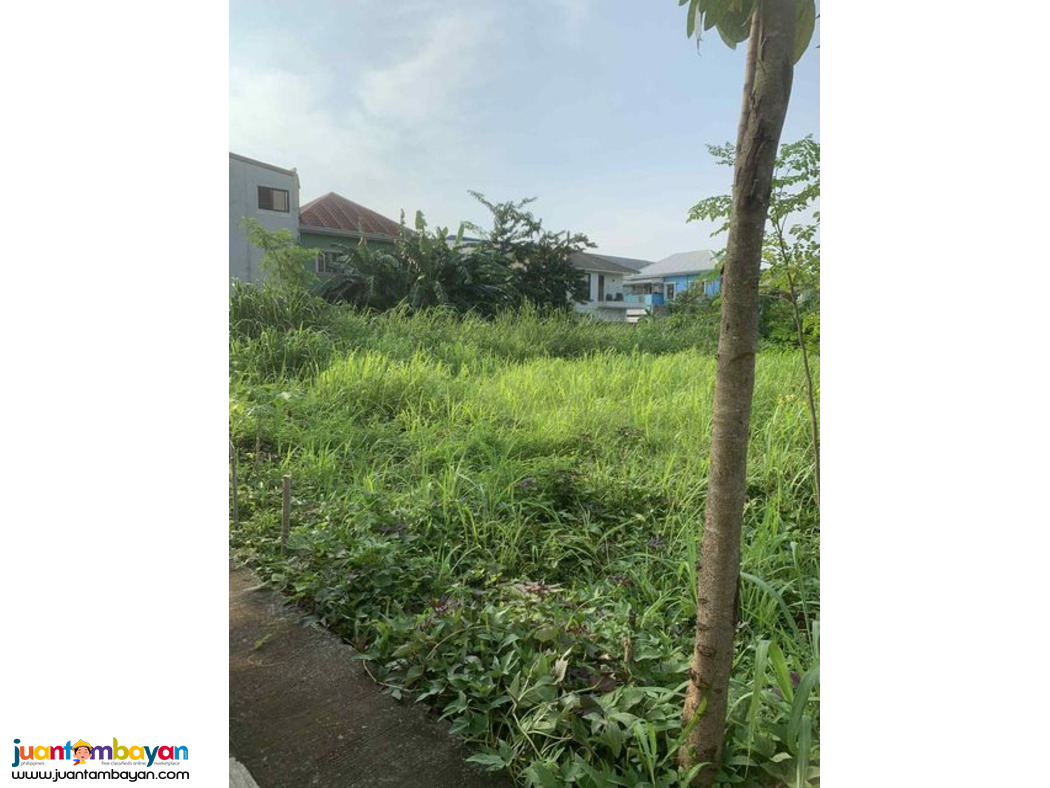 Vacant Lot For Sale in cainta greenland executive village 258sqm
