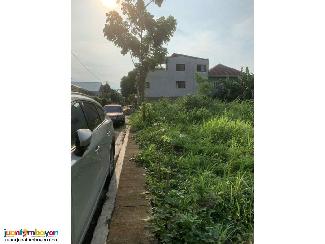 Vacant Lot For Sale in cainta greenland executive village 258sqm