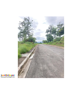 Lot for sale in Antipolo City- Bluemountains  overlooking 
