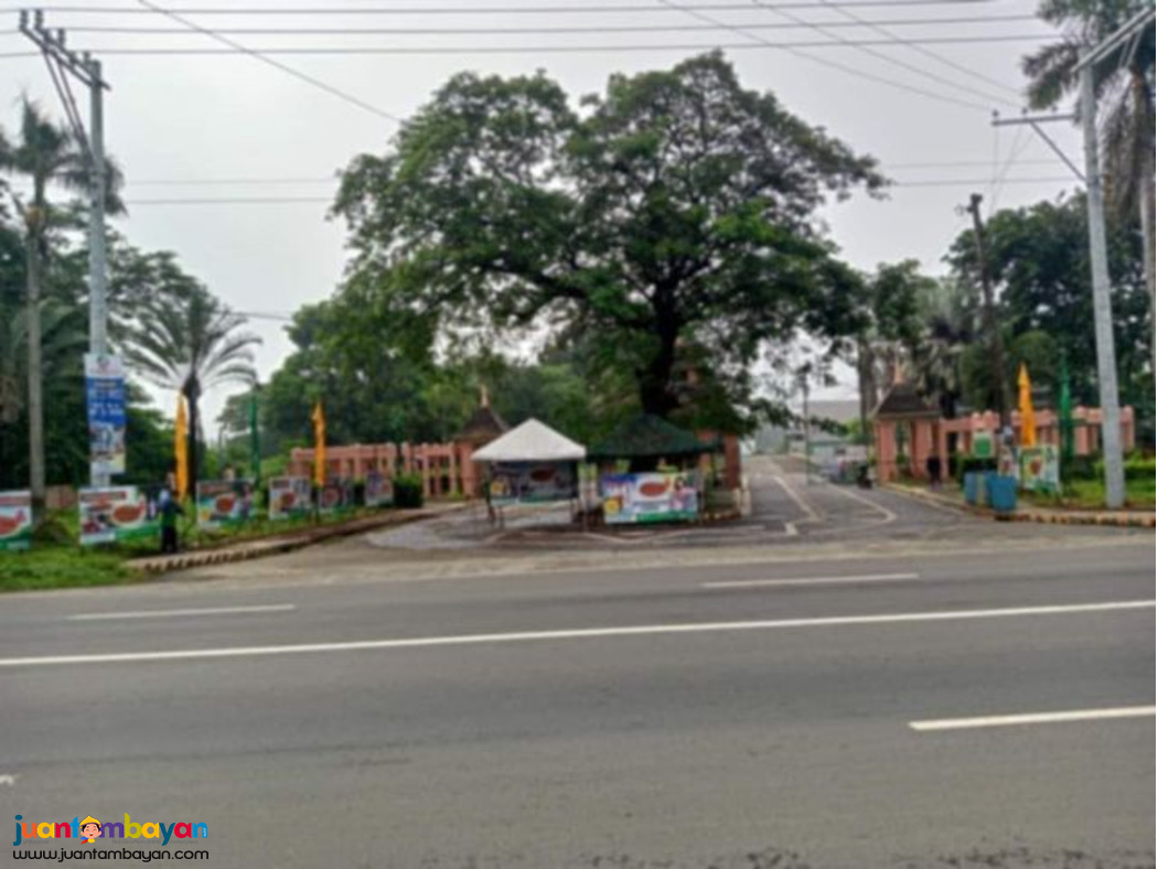 Lot for sale in urdaneta pangasinan- Woodside Garden Village 