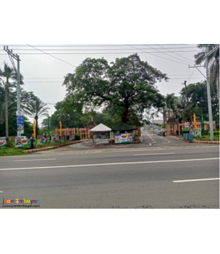 Lot for sale in urdaneta pangasinan- Woodside Garden Village 
