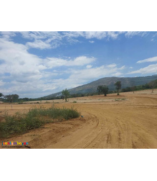 Lot for sale in subic zambales- clubmorocco 