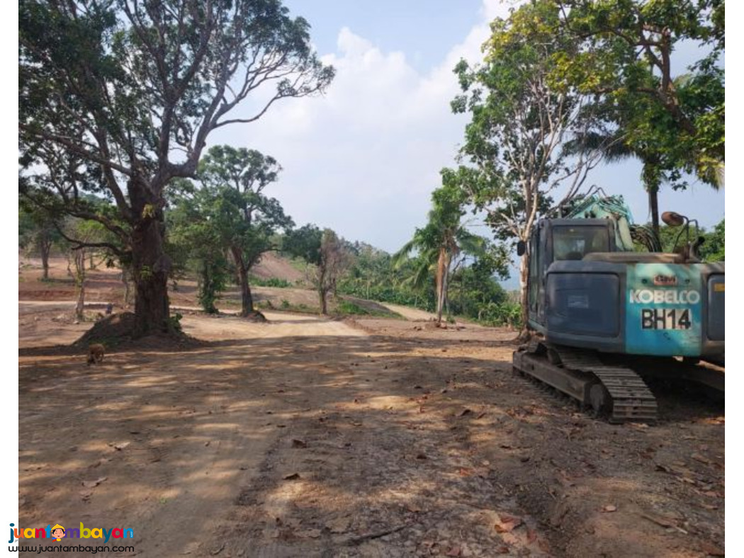 Lot for sale in mabitac Laguna- Woodridge 