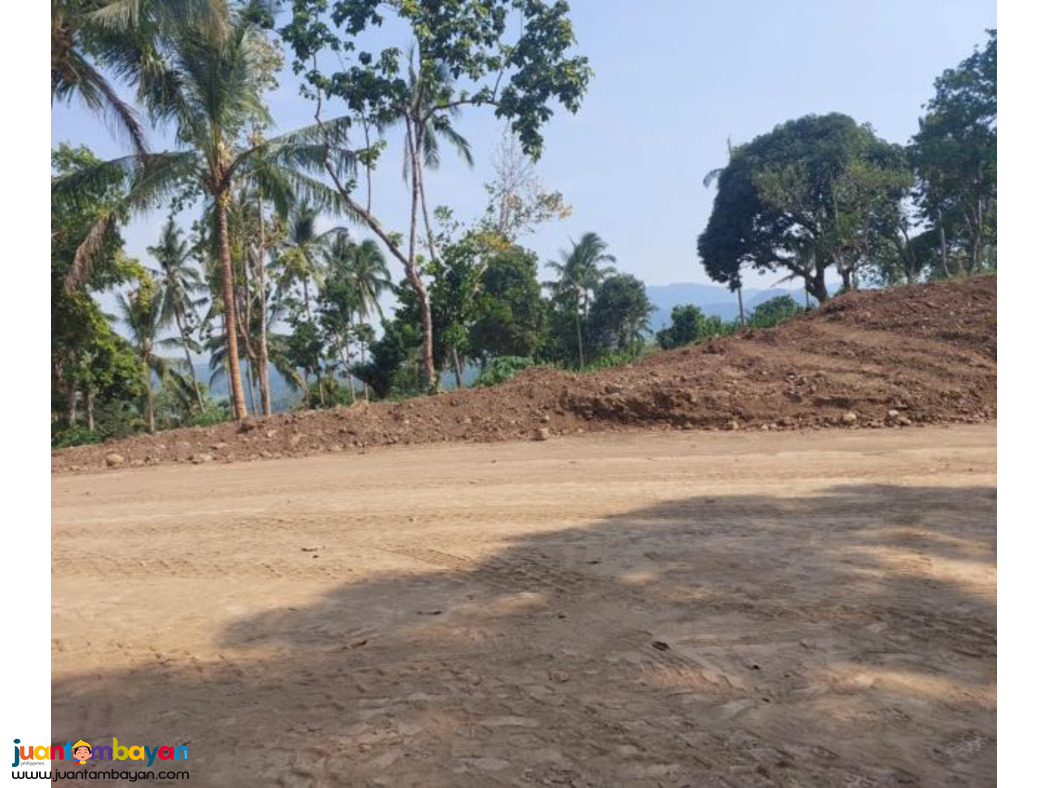 Lot for sale in mabitac Laguna- Woodridge 