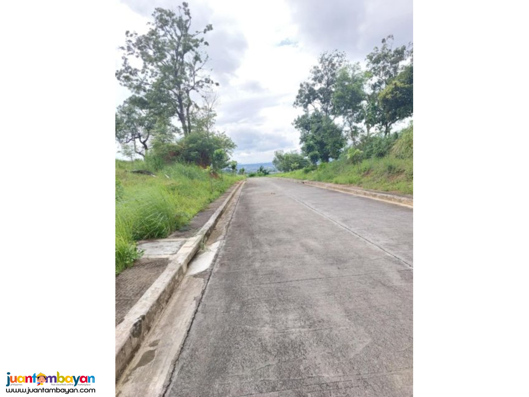 Lot for sale in Antipolo City- Bluemountains  overlooking 