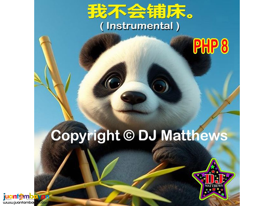 I Don't Know How To Make a Bed (Instrumental) Chinese Version