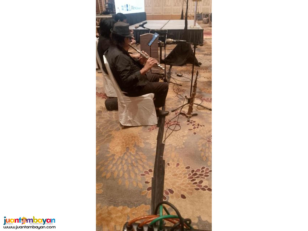 Equipments Sounds and Projector for Rental