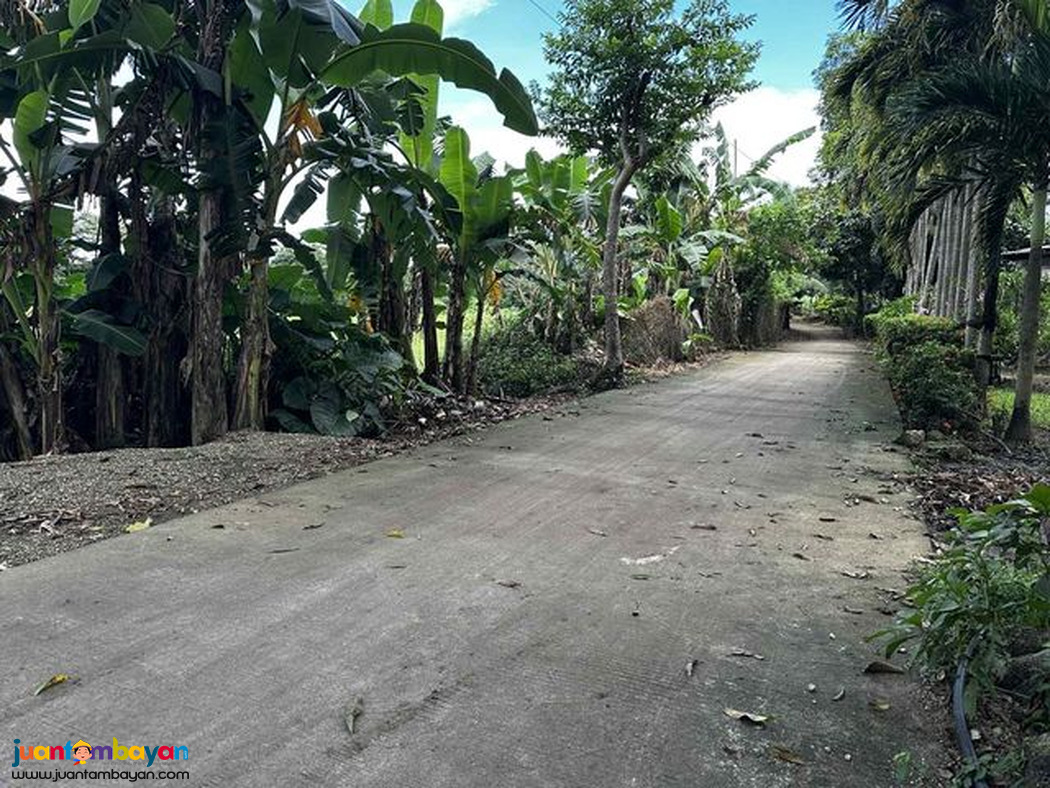 RESIDENTIAL FARM LOT Nasugbu Batangas