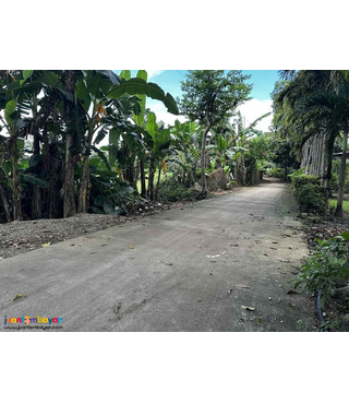 RESIDENTIAL FARM LOT Nasugbu Batangas