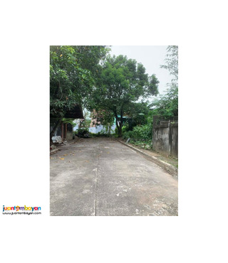 lot with structure for sale in vista verde cainta rizal