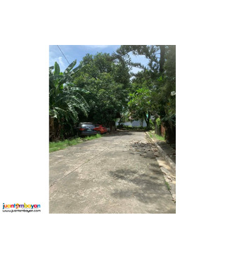 Vacant Lot with Old Structure for sale in vista verde cainta