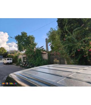 [ SALE ] HOUSE FOR RENT [ PASIG MANGAHAN ]